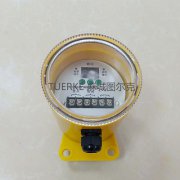 廠(chǎng)家批發(fā)打滑欠速開(kāi)關(guān)YHDH-Z欠速檢測(cè)裝置